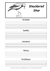 Steckbriefvorlage-Star.pdf